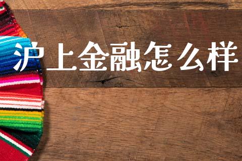 沪上金融怎么样_https://m.apzhendong.com_财务分析_第1张