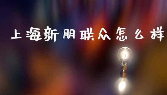 上海新朋联众怎么样_https://m.apzhendong.com_财经资讯_第1张