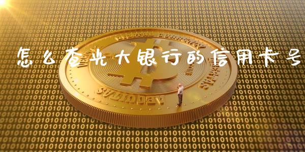 怎么查光大银行的信用卡号_https://m.apzhendong.com_全球经济_第1张