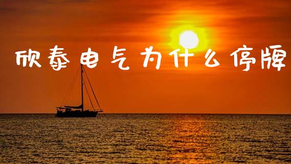 欣泰电气为什么停牌_https://m.apzhendong.com_期货行情_第1张