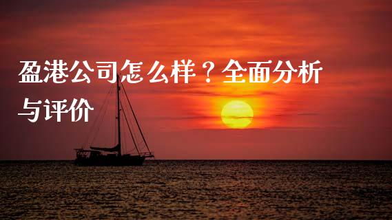 盈港公司怎么样？全面分析与评价_https://m.apzhendong.com_财经资讯_第1张