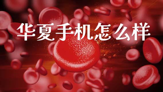 华夏手机怎么样_https://m.apzhendong.com_期货行情_第1张