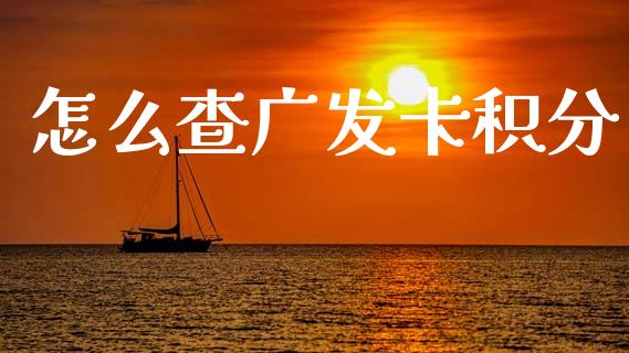 怎么查广发卡积分_https://m.apzhendong.com_期货行情_第1张