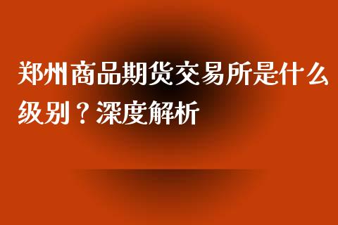 郑州商品期货交易所是什么级别？深度解析_https://m.apzhendong.com_财经资讯_第1张