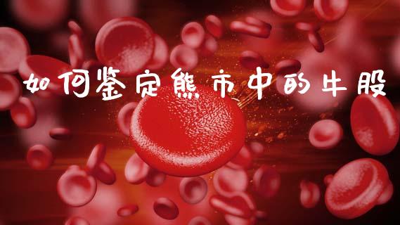 如何鉴定熊市中的牛股_https://m.apzhendong.com_全球经济_第1张
