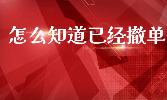 怎么知道已经撤单_https://m.apzhendong.com_财务分析_第1张