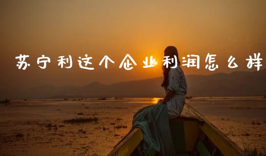 苏宁利这个企业利润怎么样_https://m.apzhendong.com_全球经济_第1张
