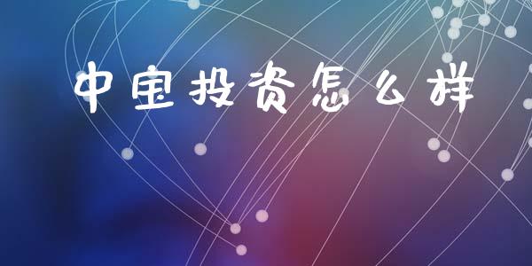 中宝投资怎么样_https://m.apzhendong.com_期货行情_第1张