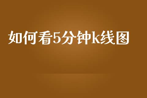 如何看5分钟k线图_https://m.apzhendong.com_财务分析_第1张