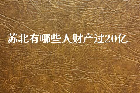 苏北有哪些人财产过20亿_https://m.apzhendong.com_财务分析_第1张