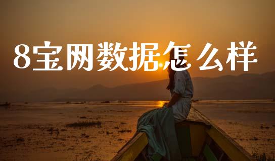 8宝网数据怎么样_https://m.apzhendong.com_全球经济_第1张