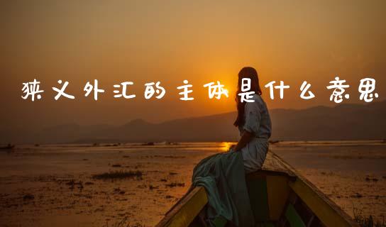 狭义外汇的主体是什么意思_https://m.apzhendong.com_财经资讯_第1张