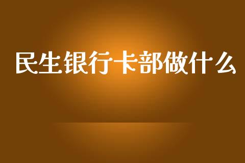 民生银行卡部做什么_https://m.apzhendong.com_财务分析_第1张