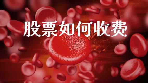 股票如何收费_https://m.apzhendong.com_全球经济_第1张
