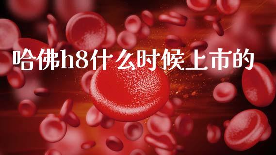 哈佛h8什么时候上市的_https://m.apzhendong.com_财务分析_第1张