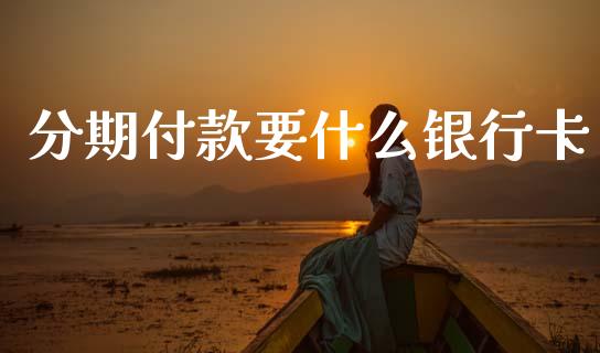 分期付款要什么银行卡_https://m.apzhendong.com_全球经济_第1张