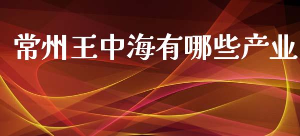 常州王中海有哪些产业_https://m.apzhendong.com_财务分析_第1张