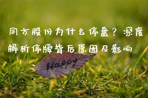 同方股份为什么停盘？深度解析停牌背后原因及影响_https://m.apzhendong.com_财经资讯_第1张