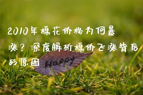 2010年棉花价格为何暴涨？深度解析棉价飞涨背后的原因_https://m.apzhendong.com_全球经济_第1张