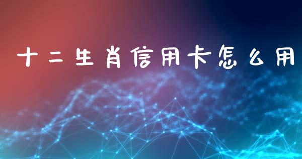 十二生肖信用卡怎么用_https://m.apzhendong.com_财经资讯_第1张
