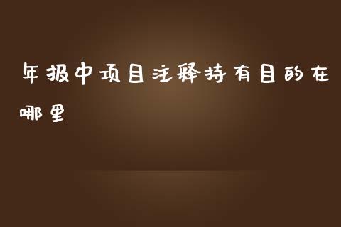 年报中项目注释持有目的在哪里_https://m.apzhendong.com_财经资讯_第1张