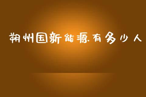 朔州国新能源有多少人_https://m.apzhendong.com_全球经济_第1张