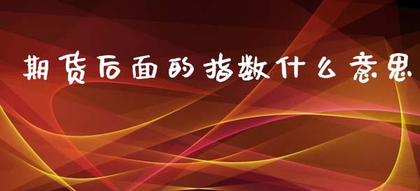 期货后面的指数什么意思_https://m.apzhendong.com_财务分析_第1张