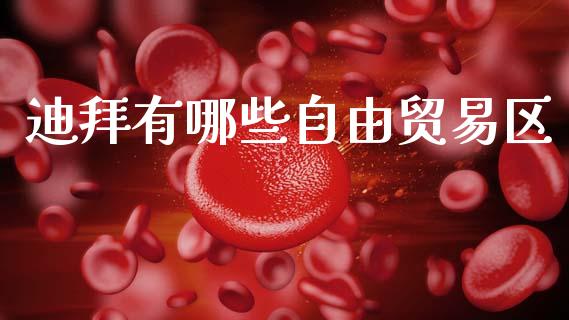 迪拜有哪些自由贸易区_https://m.apzhendong.com_财务分析_第1张