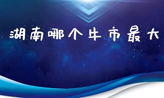湖南哪个牛市最大_https://m.apzhendong.com_全球经济_第1张