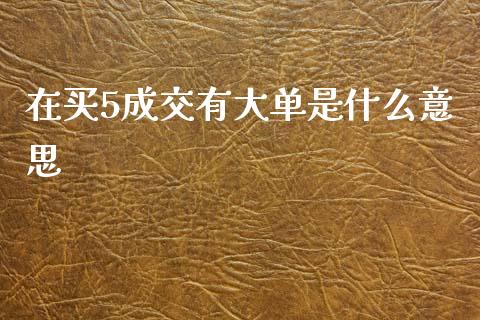 在买5成交有大单是什么意思_https://m.apzhendong.com_期货行情_第1张