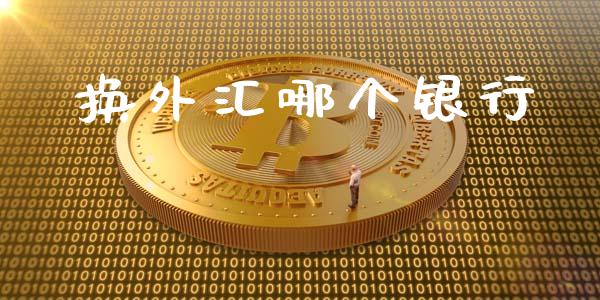 换外汇哪个银行_https://m.apzhendong.com_期货行情_第1张