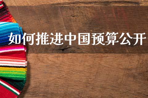 如何推进中国预算公开_https://m.apzhendong.com_期货行情_第1张