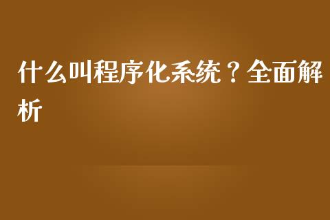 什么叫程序化系统？全面解析_https://m.apzhendong.com_财务分析_第1张