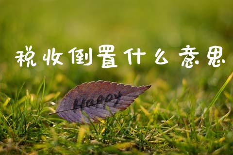 税收倒置什么意思_https://m.apzhendong.com_期货行情_第1张
