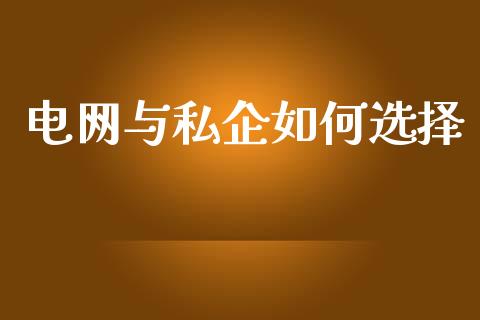 电网与私企如何选择_https://m.apzhendong.com_财经资讯_第1张