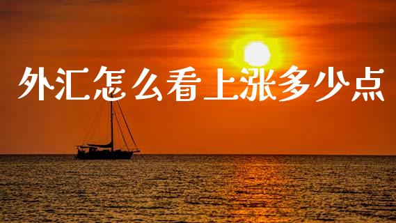 外汇怎么看上涨多少点_https://m.apzhendong.com_财经资讯_第1张