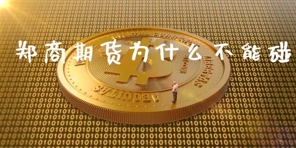 郑商期货为什么不能碰_https://m.apzhendong.com_期货行情_第1张