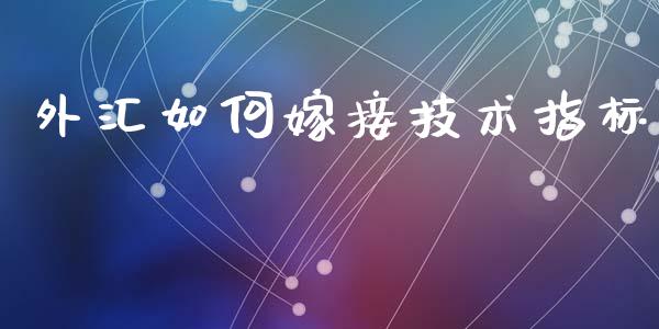 外汇如何嫁接技术指标_https://m.apzhendong.com_财务分析_第1张