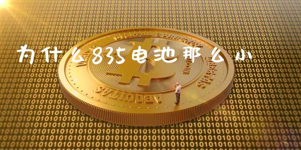 为什么835电池那么小_https://m.apzhendong.com_期货行情_第1张