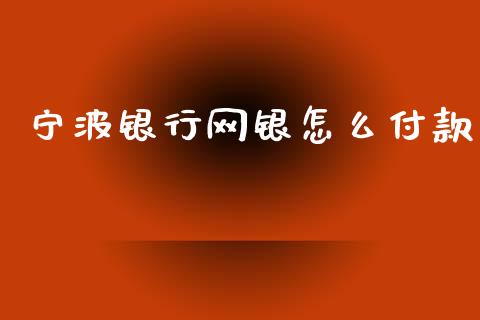 宁波银行网银怎么付款_https://m.apzhendong.com_财务分析_第1张