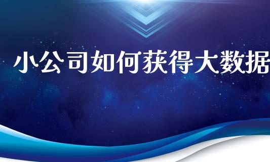 小公司如何获得大数据_https://m.apzhendong.com_全球经济_第1张