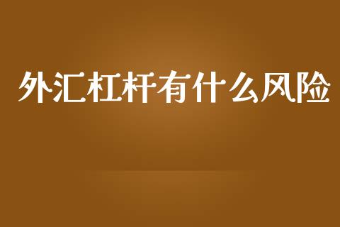 外汇杠杆有什么风险_https://m.apzhendong.com_全球经济_第1张