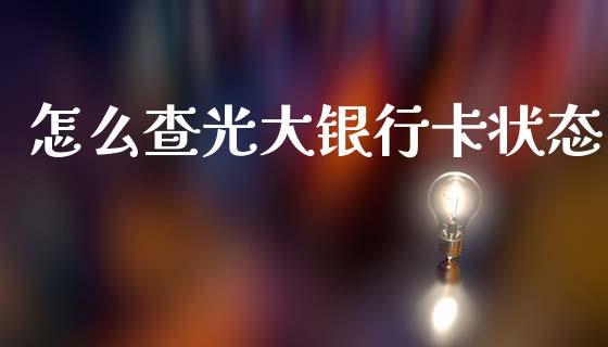 怎么查光大银行卡状态_https://m.apzhendong.com_财务分析_第1张