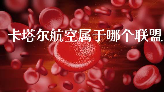 卡塔尔航空属于哪个联盟_https://m.apzhendong.com_财务分析_第1张