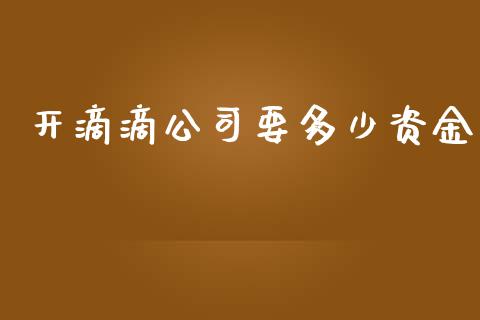 开滴滴公司要多少资金_https://m.apzhendong.com_财务分析_第1张