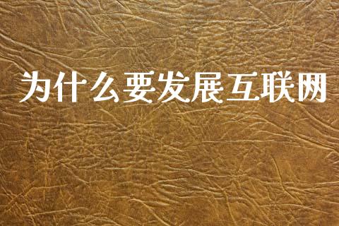 为什么要发展互联网_https://m.apzhendong.com_全球经济_第1张