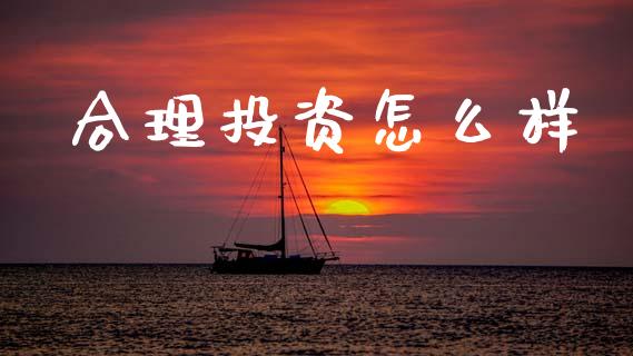 合理投资怎么样_https://m.apzhendong.com_财务分析_第1张