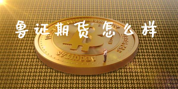 鲁证期货 怎么样_https://m.apzhendong.com_期货行情_第1张