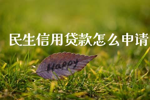 民生信用贷款怎么申请_https://m.apzhendong.com_期货行情_第1张