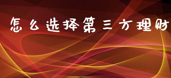 怎么选择第三方理财_https://m.apzhendong.com_财务分析_第1张